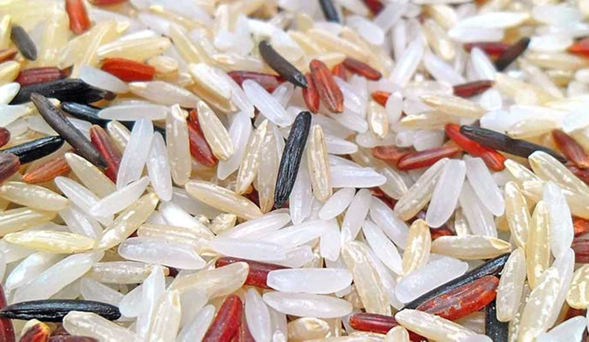 همه چیز درباره تاریخ مصرف برنج